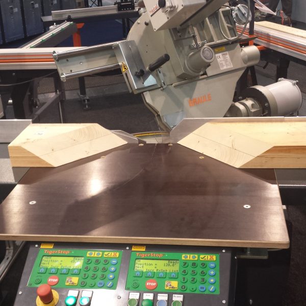 Aardvark Angle Cutting Saw WS Woodmachinery